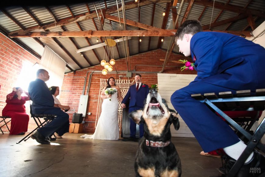 Tonie and John La Mesa Wedding Photography - Wedding Photographer in San Diego AbounaPhoto -IMG_2166