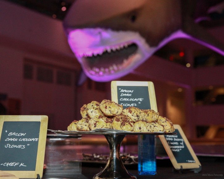 March of Dimes Signature Chefs Auction 2013 Natural History Museum Balboa Park by AbounaPhoto