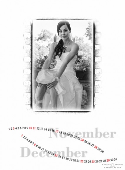 Wedding Photographer Portfolio Album - Calendar with Wedding Album - Page 7 - San Diego Wedding Photographers Andrew Abouna
